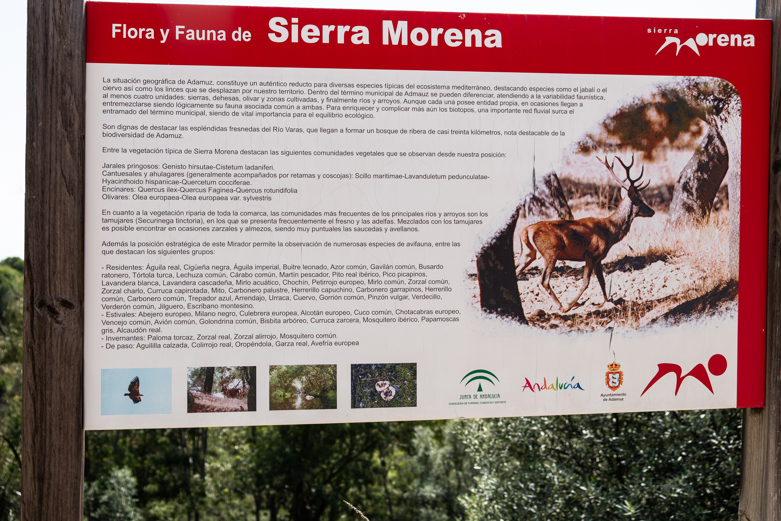 Infotafel zur Flora und Fauna der Sierra Morena